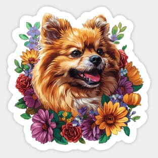 Pomeranian Sticker